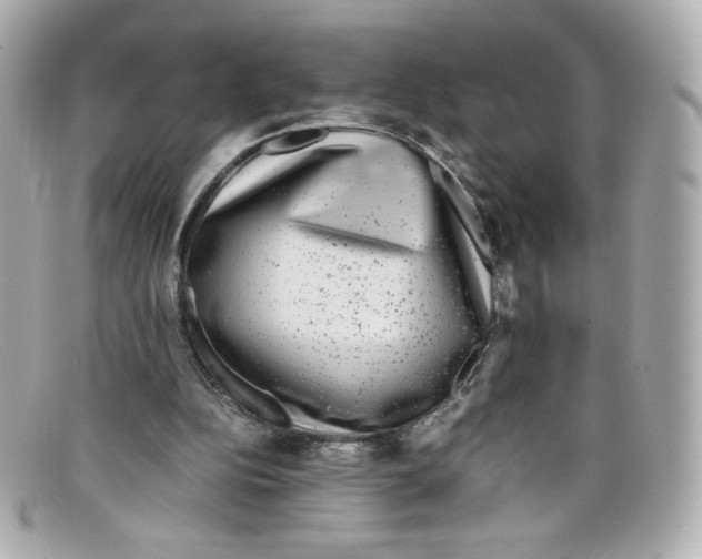 X0000097960152200804211112