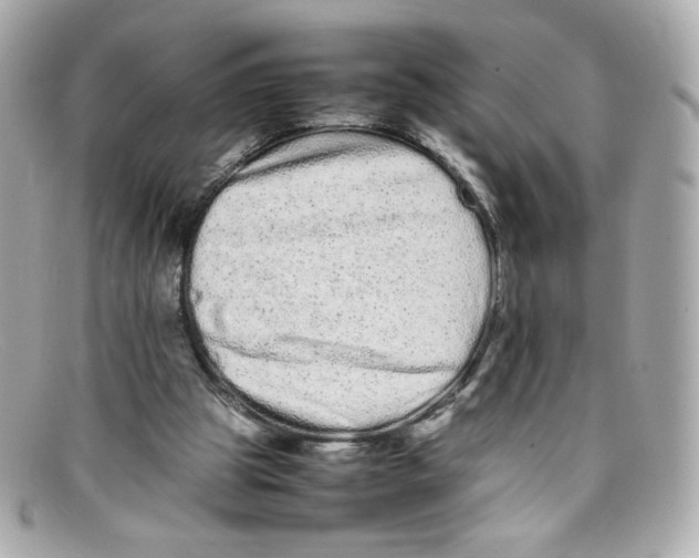 X0000097960153200804211112