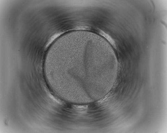 X0000097960155200804211112