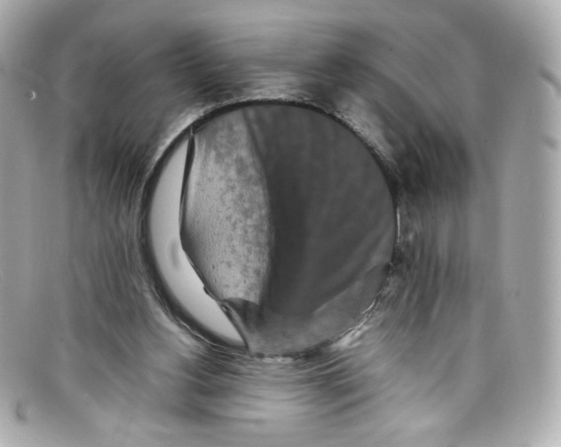 X0000097960156200804211112
