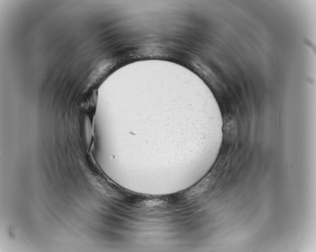X0000097960158200804211112