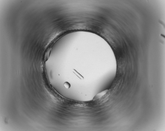 X0000097960160200804211112