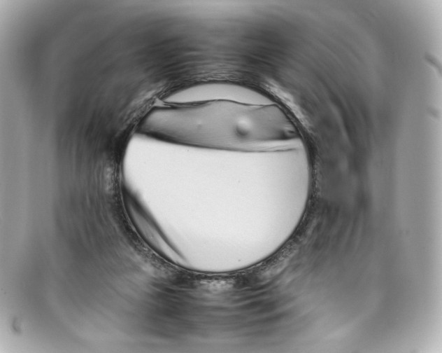 X0000097960161200804211112