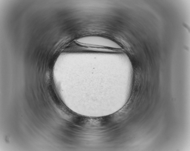 X0000097960166200804211112