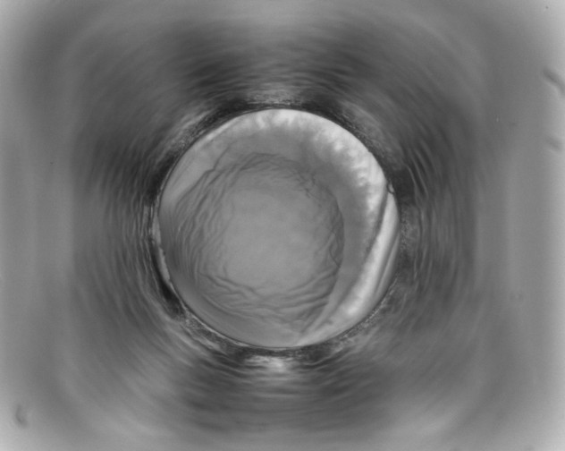 X0000097960167200804211112