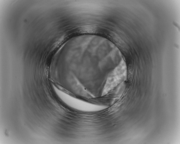 X0000097960168200804211112