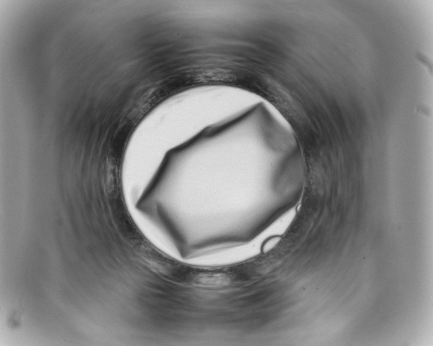 X0000097960169200804211112