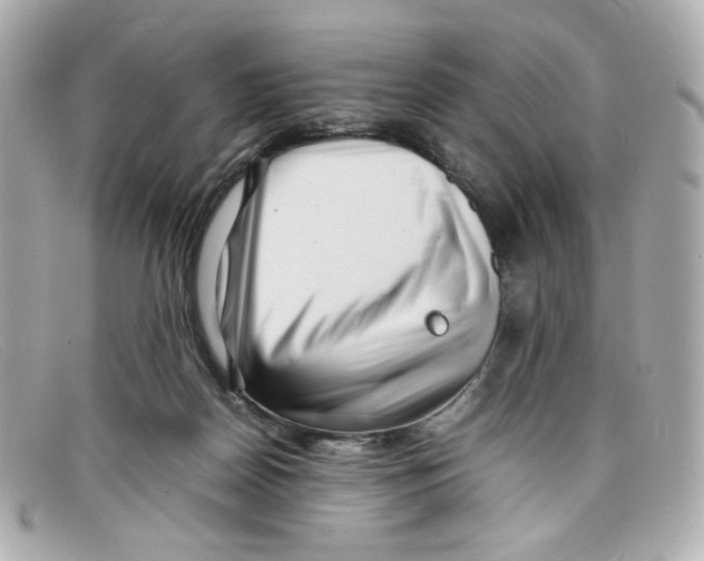 X0000097960170200804211112