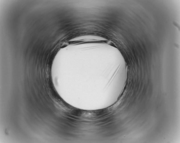 X0000097960174200804211113