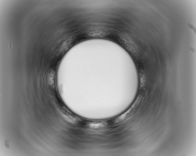 X0000097960175200804211113