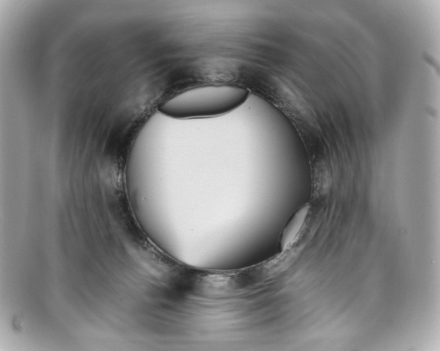X0000097960176200804211113