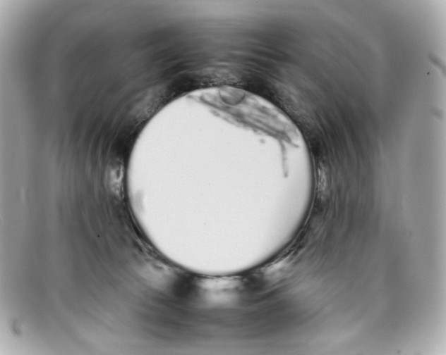X0000097960177200804211113