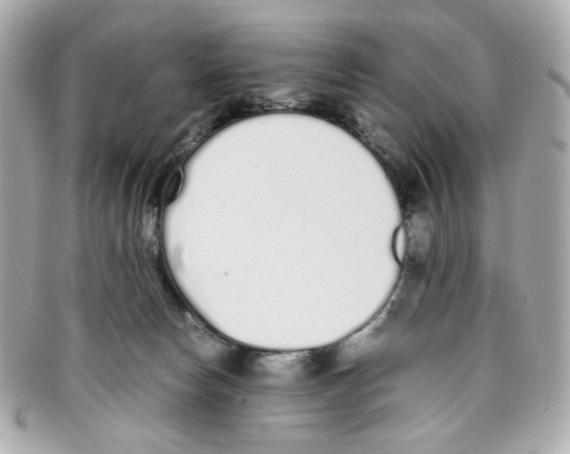 X0000097960178200804211113