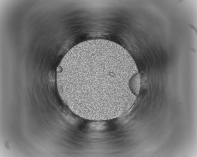 X0000097960179200804211113