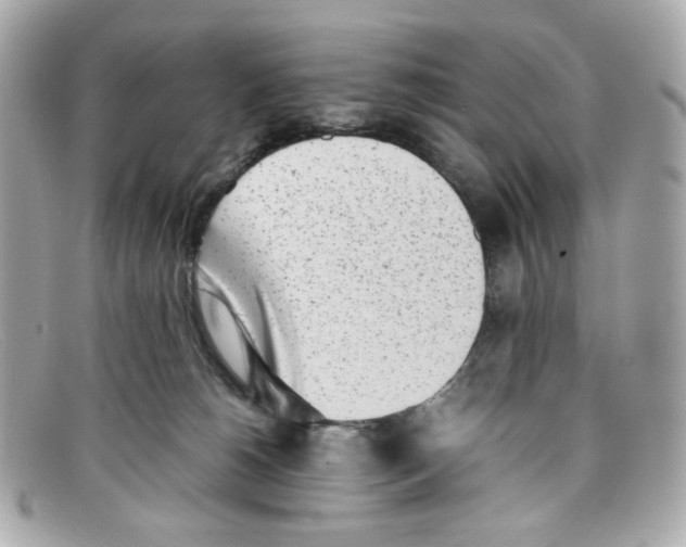 X0000097960180200804211113