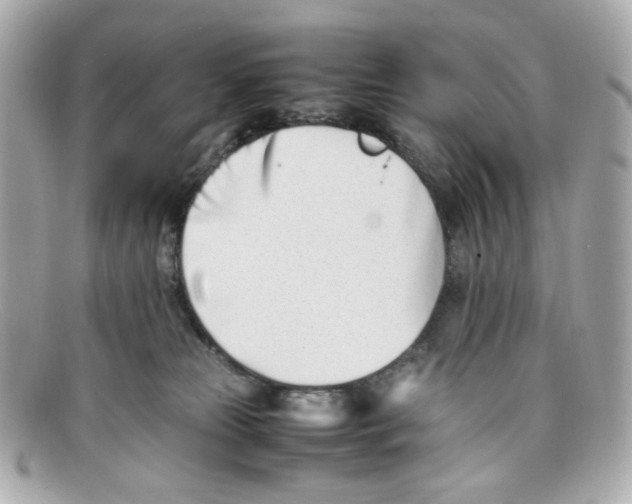 X0000097960181200804211113