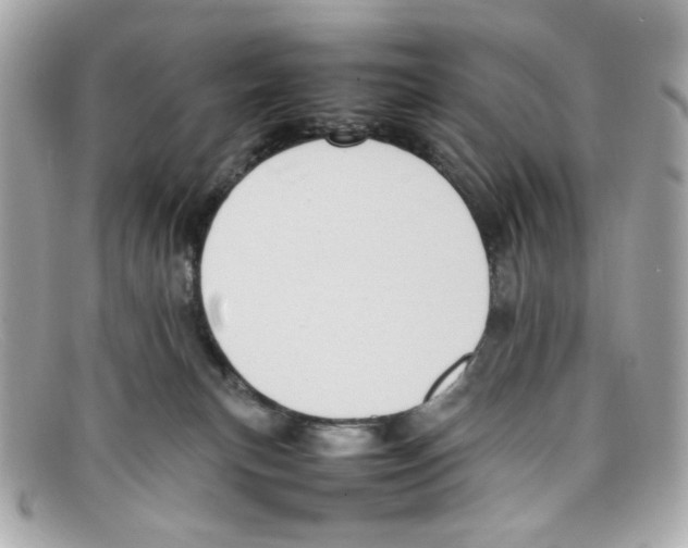X0000097960183200804211113