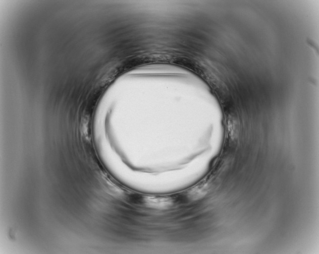 X0000097960185200804211113