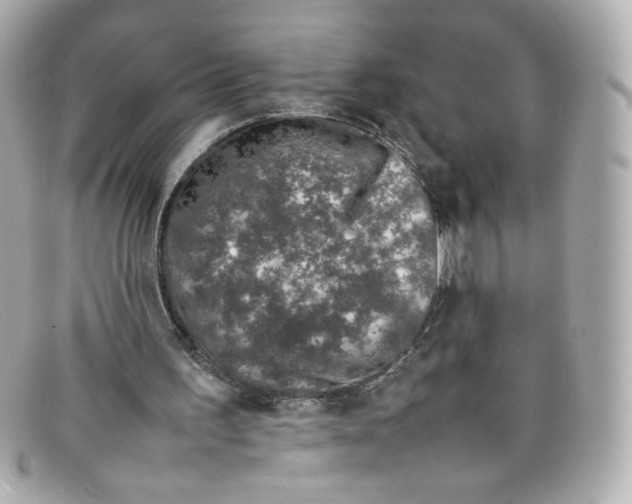 X0000097960195200804211112