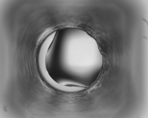 X0000097960197200804211112