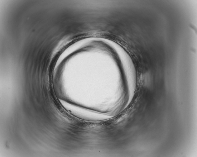 X0000097960198200804211112