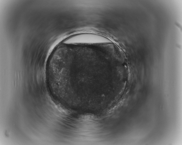 X0000097960200200804211112