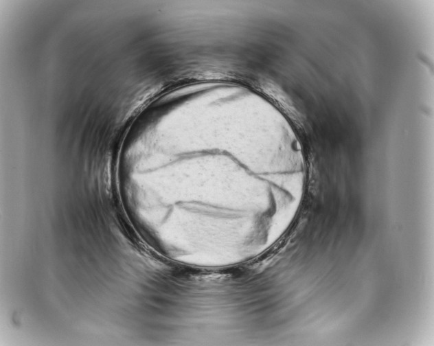 X0000097960202200804211112