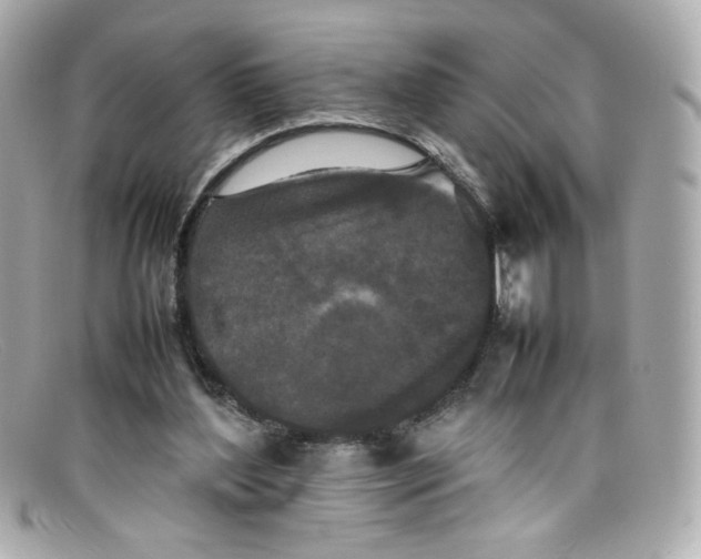 X0000097960204200804211112