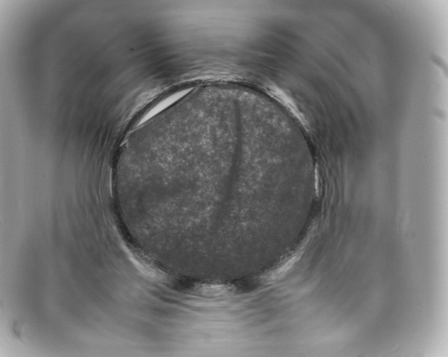 X0000097960205200804211112