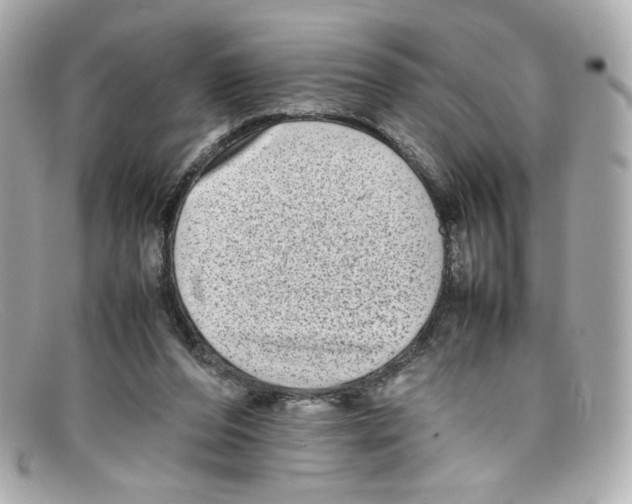 X0000097960208200804211112