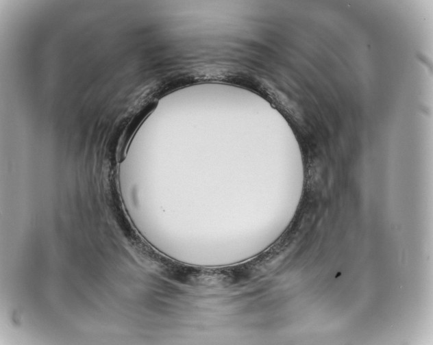 X0000097960209200804211112