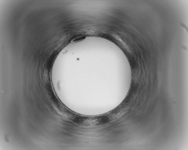 X0000097960213200804211112