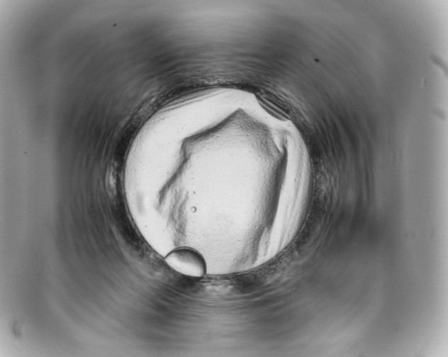 X0000097960214200804211112