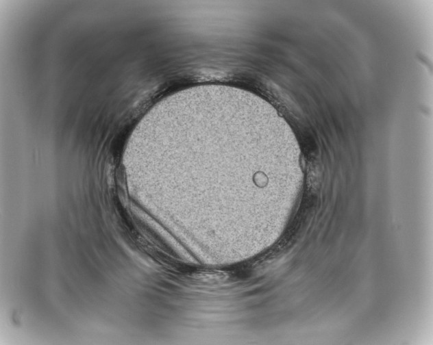X0000097960215200804211112