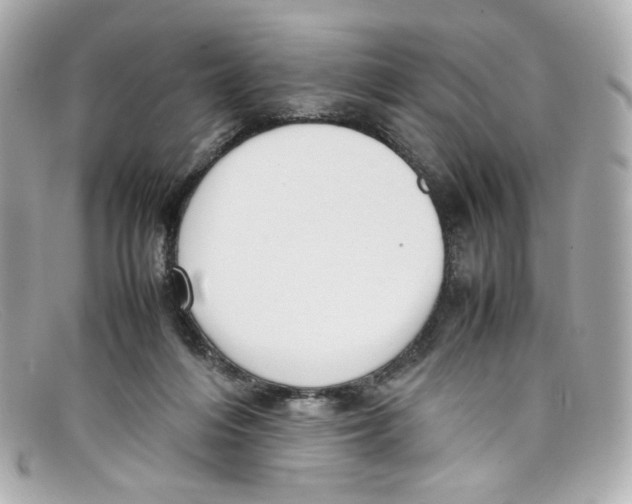 X0000097960216200804211112