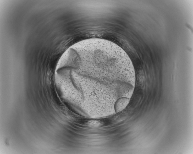 X0000097960218200804211112