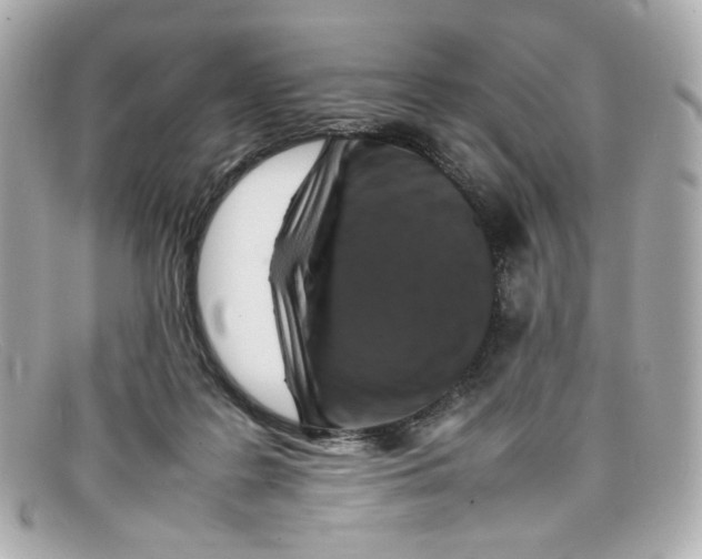 X0000097960219200804211112