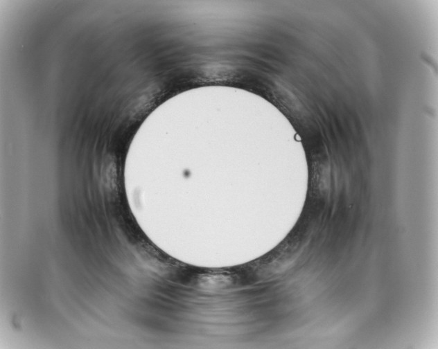 X0000097960220200804211112