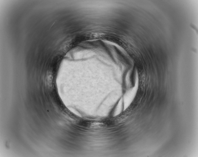 X0000097960222200804211112