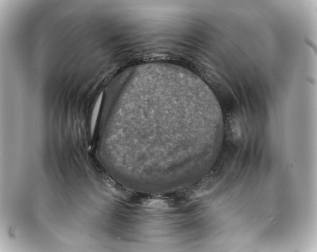 X0000097960224200804211111