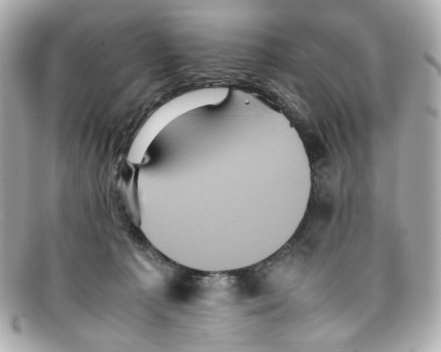 X0000097960225200804211111