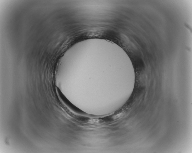 X0000097960227200804211111