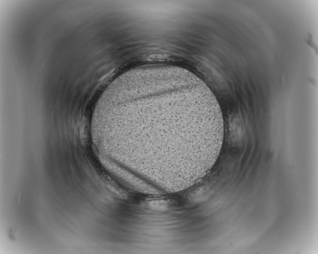 X0000097960228200804211111