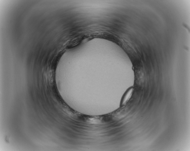 X0000097960232200804211111