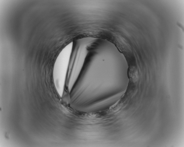X0000097960235200804211111