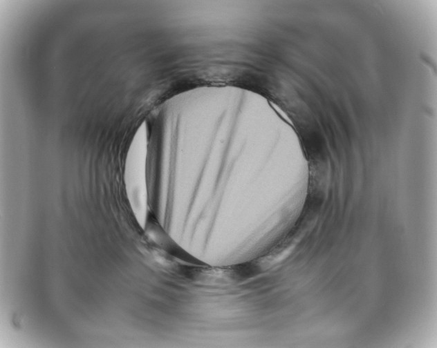 X0000097960237200804211111