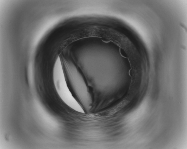 X0000097960239200804211111