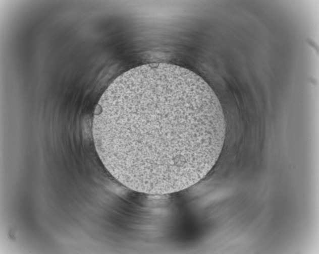 X0000097960240200804211111