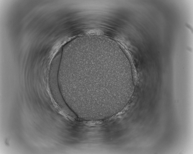 X0000097960241200804211110
