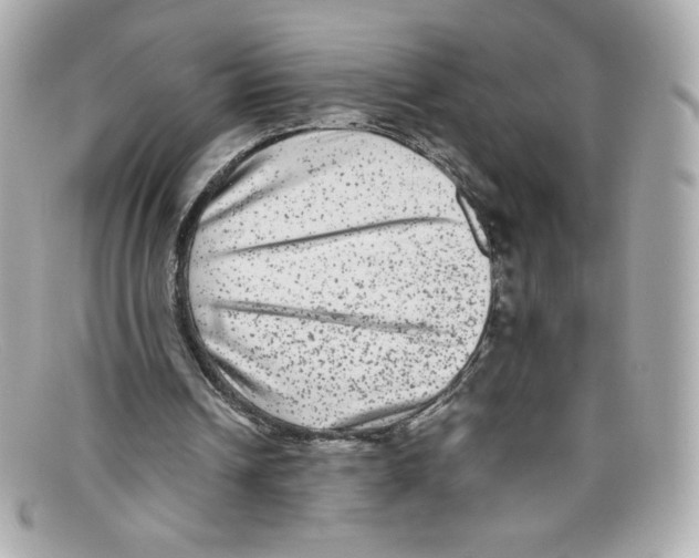 X0000097960242200804211110